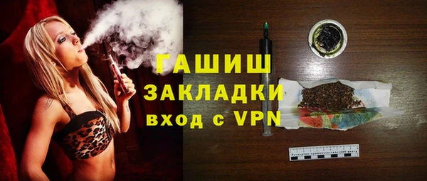 индика Нягань