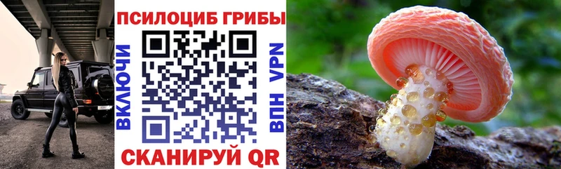 что такое   Ликино-Дулёво  Псилоцибиновые грибы Magic Shrooms 